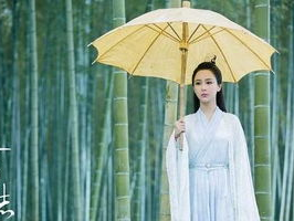 张小凡陆雪琪儿子,传承仙侠传奇的下一代