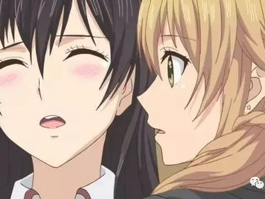 整部都是车的百合番推荐,一部别具一格的百合车番佳作