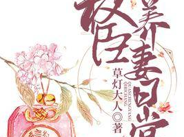 权臣养妻日常圆房,日常圆房背后的权谋与温情