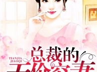 总裁的天价穷妻,一段跨越身份的深情邂逅