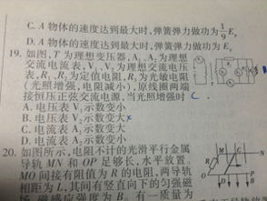 心肝1v2温谣,一场浪漫的1v2心灵之旅