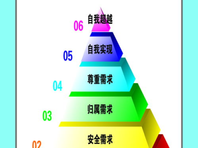 理论片在线看免费观看,探索知识的无限边界