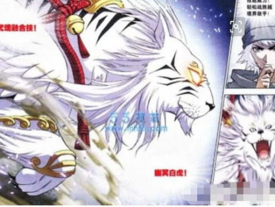 斗罗大陆之空间武魂,空间武魂的奥秘与传奇