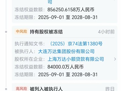万达集团所持94亿元股权被冻结,并被执行6664.66万元