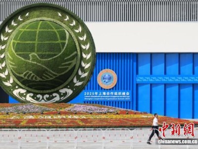 外媒热议上合峰会《天津宣言》：历史性里程碑和面向未来的蓝图