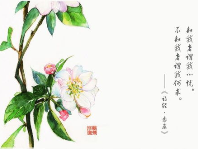 玉枕含珠扶桑知我,神秘传说知我情