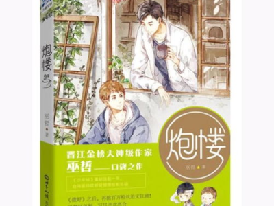 所有的原耽书籍,原耽书籍情感之旅