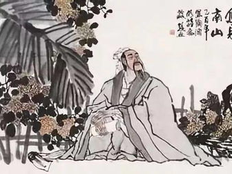 折腰短剧免费观看夏知茶,夏知茶的免费观看之旅