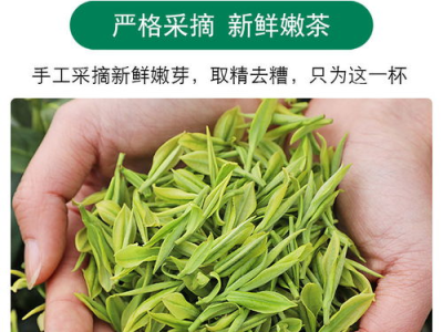 春茶1v1sc,揭秘春茶品质与品鉴之道